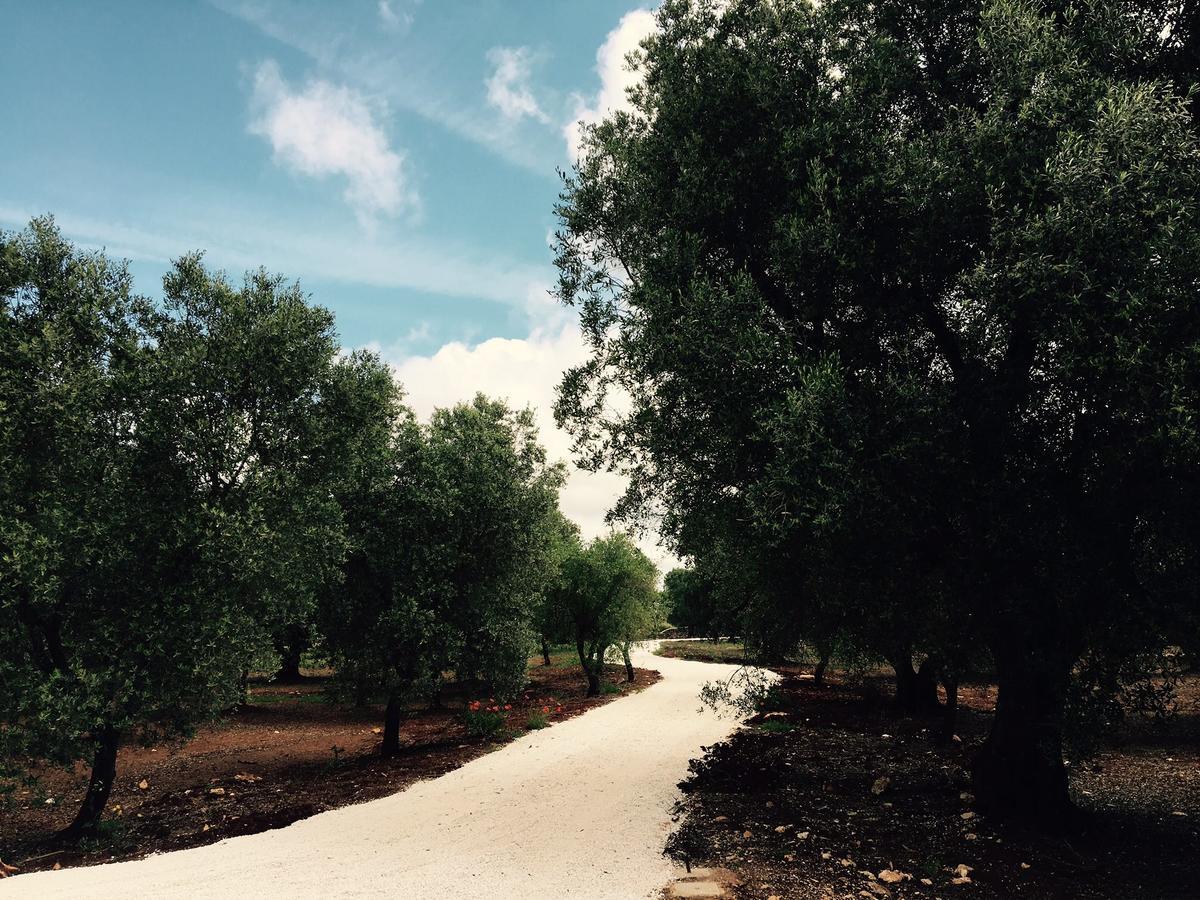 Fikus - The Apulian B&B Kellie Messapica Kültér fotó